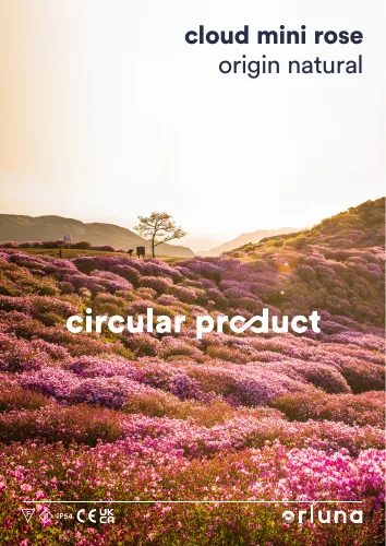 Cloud Mini Rose · Adjustable · Origin Natural